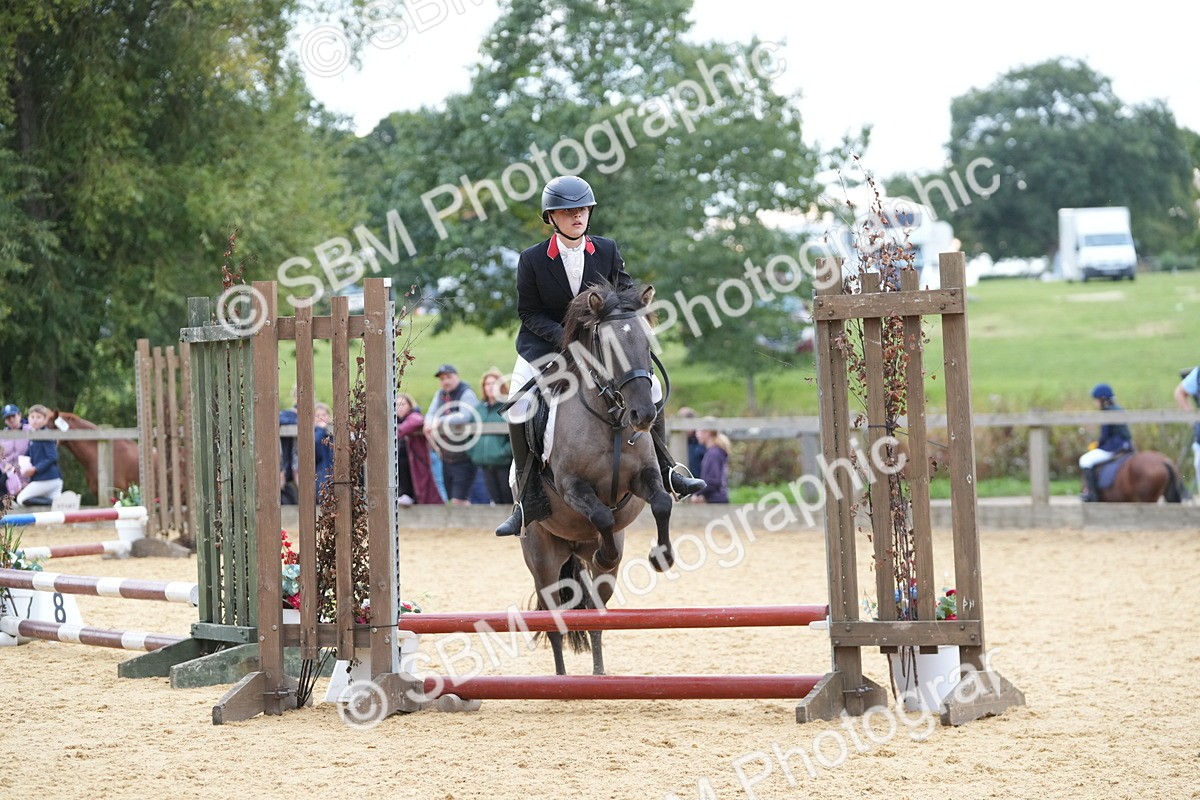 SBM_74878 - J4 - Mini Tour Junior Pony 45cm Championship