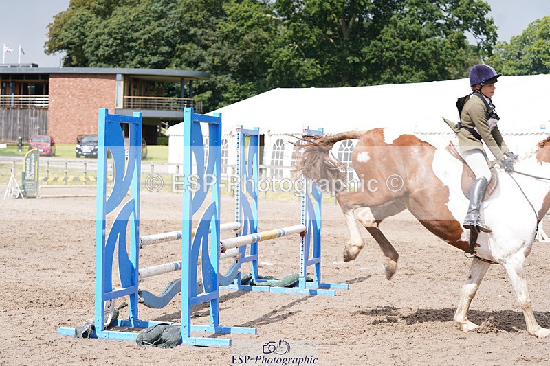 240824X-121150-23907 - 80cm Round 1 12.00 to 13.00