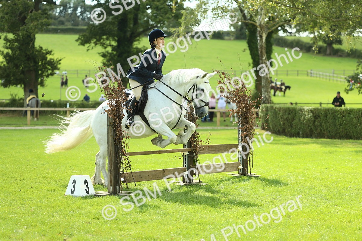 SBM_42922 - S30 - M&M Working hunter Pony