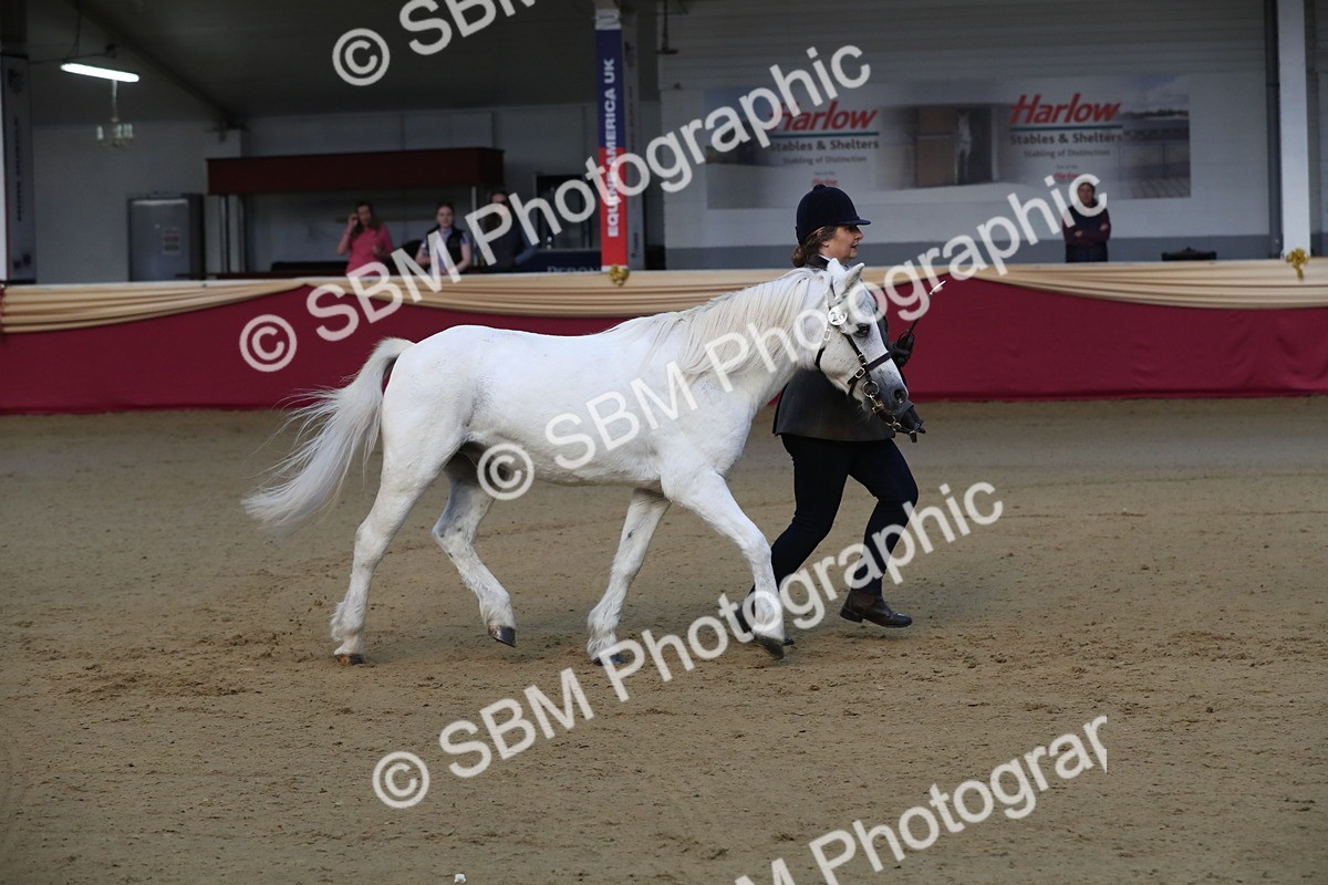 SBM_00283 - Class 1a - Area IH Diamond