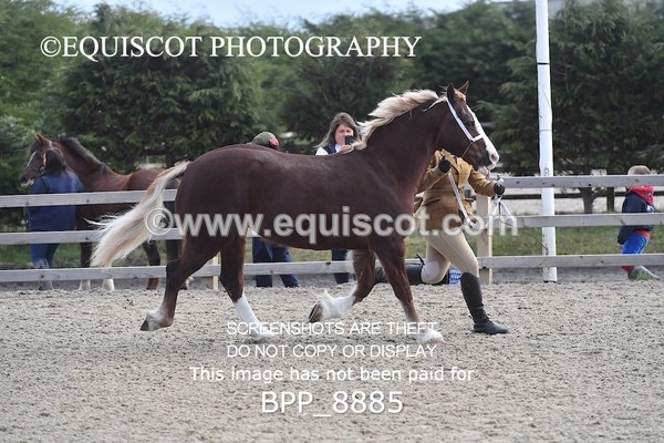 BPP_8885 - RING 2 - M&M