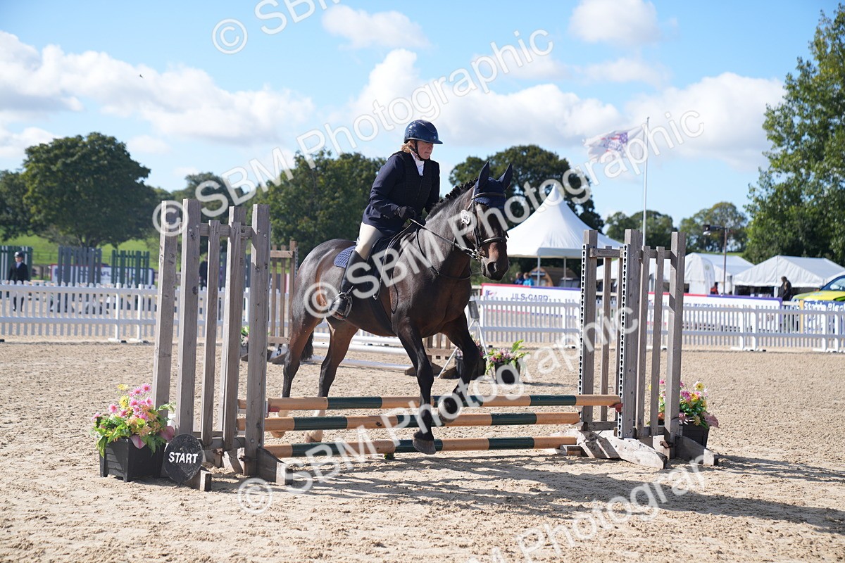 SBM_02403 - J54 Clear Round 45cm