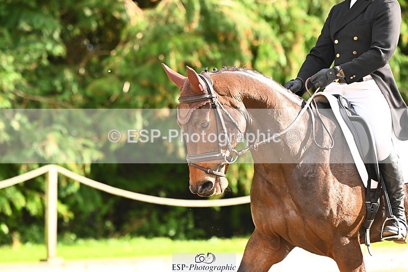 231020-144257-10333 - 210-TREGARON-Gubby.Leech-DR