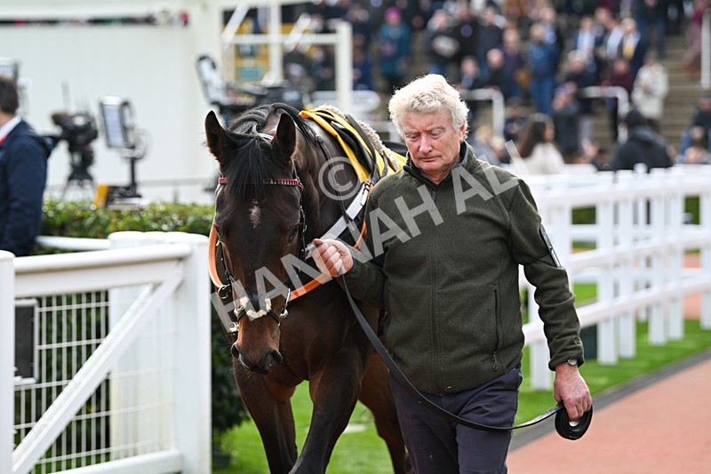 161124-Race 1-Paddock-My Mate Tony-9017 - Race 1