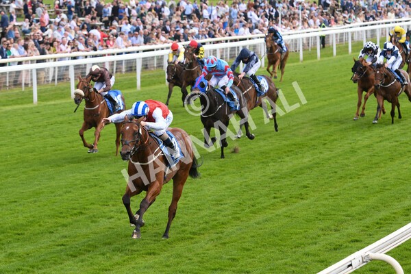 yr10062022r2-22 - Race 2 2.30pm SKF Rous Selling Stakes