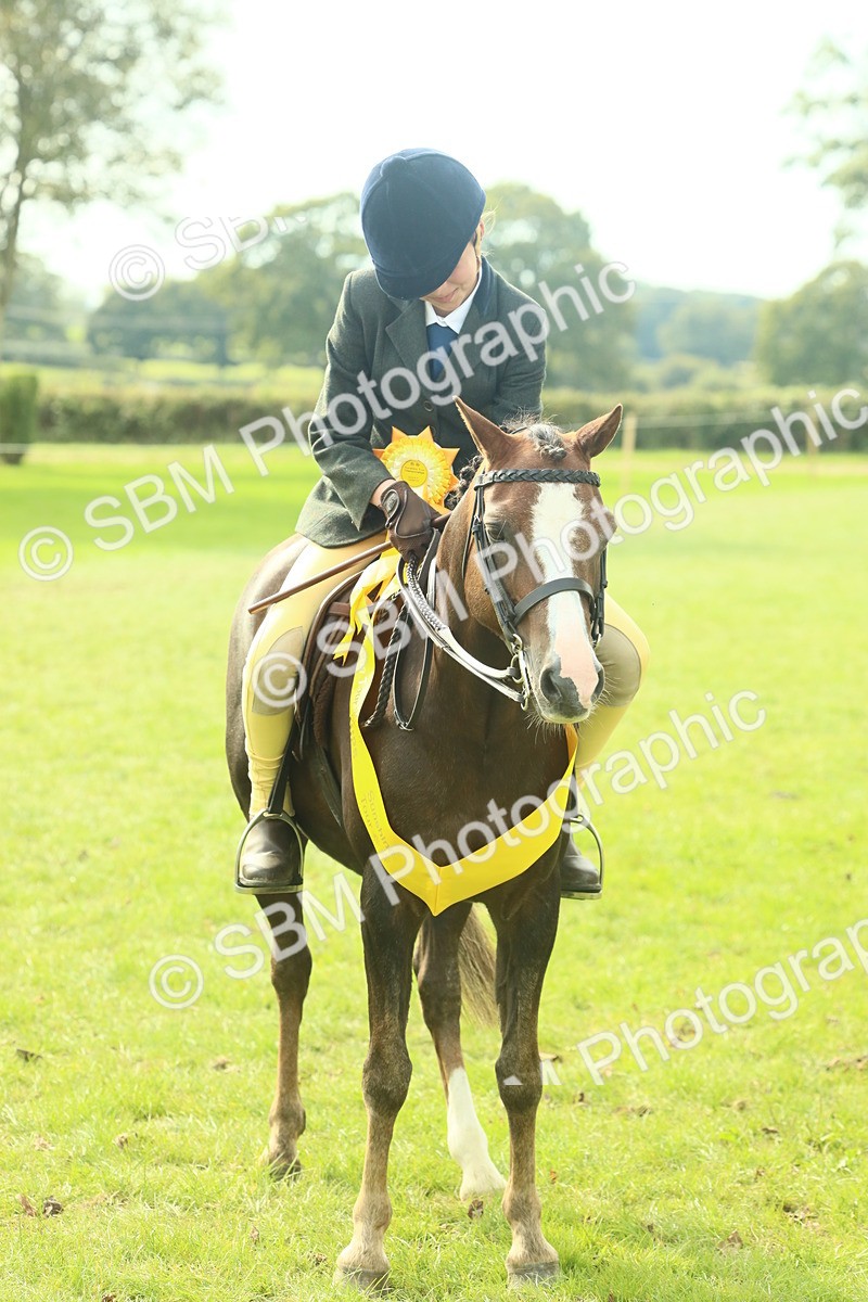 SBM_68157 - S57 - Part Bred Pony Ridden