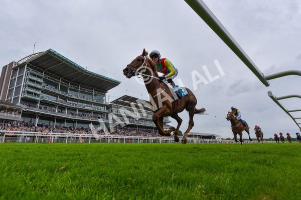 250524-Race 6-Primo Lara-7004 - Race 6 4.30pm Royal Yorkshire Regiment Handicap