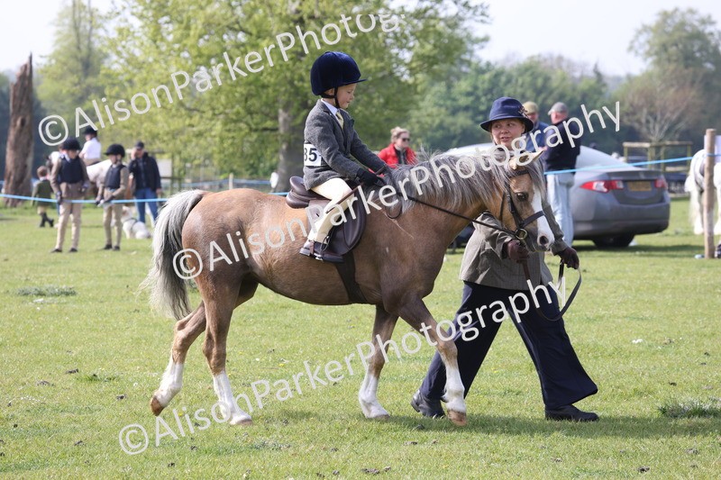 20260426-0419 - Class 30 - Tiny Tots Lead Rein