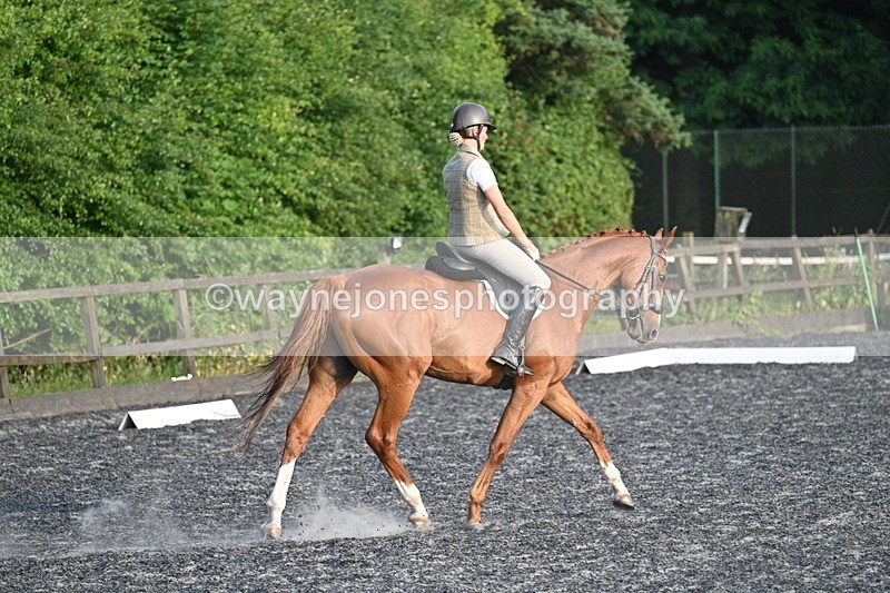 WJ7_0382 - Time 19:38 to 20:00