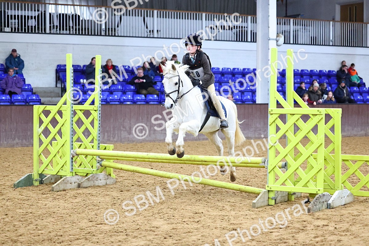 SBM_001238 - Class 3 - Christmas Tree Stakes - 60cm