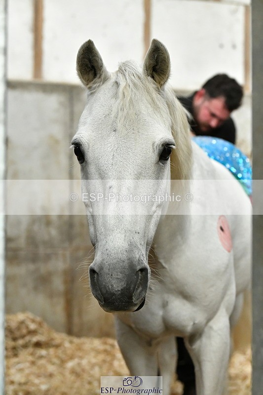 230804A-094227-02173 - Stable Shots