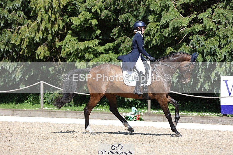 230526-151519-06664 - 379-QUIZICAL_Z-Alice_Hallows-WEDTrotUp+DR