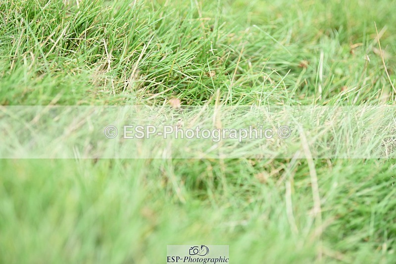 230817-142636-02161 - Kay's 2nd Group - XC