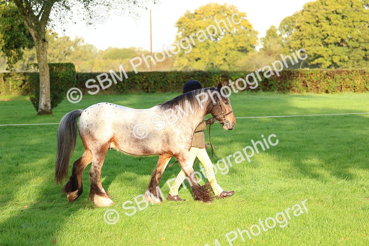 SBM_32758 - S8 - Best Turned Out