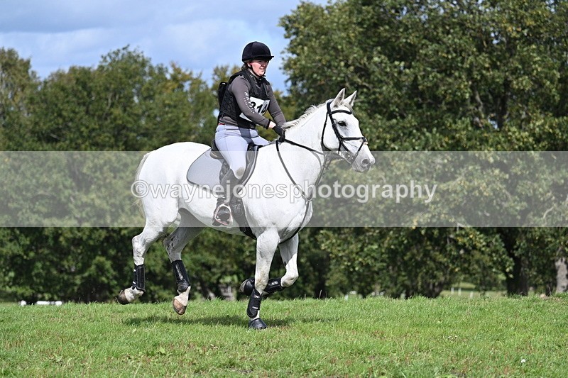 WJ7_1782 - Time 13:17 to 13:53