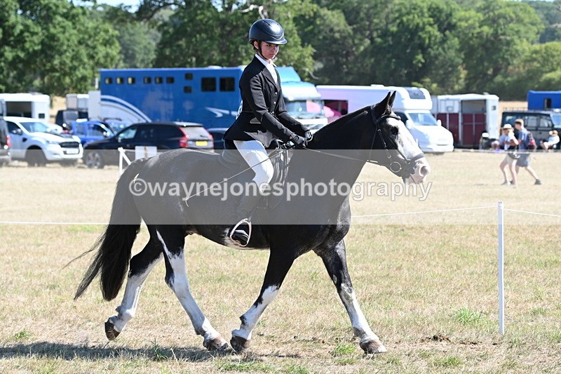 WJ6_8210 - Class 37a Best Loan Pony Ridden