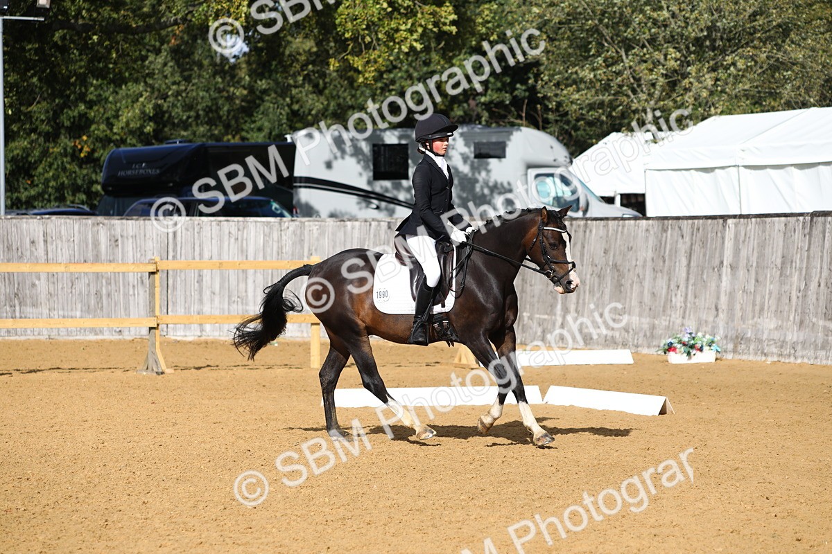 SBM_52415 - D23 - Junior Championship Prelim 1