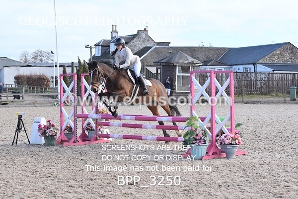 BPP_3250 - CLASS 2  Club/ Unaffiliated 80cms Open