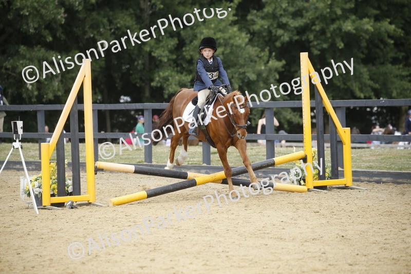 20250622-3991 - 50cm