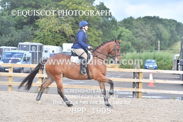 BPP_1905 - DERBY CLASS 5 - 60CM