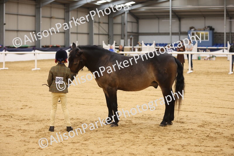 20260913-0108 - Class 121 - Young Handler 5-16