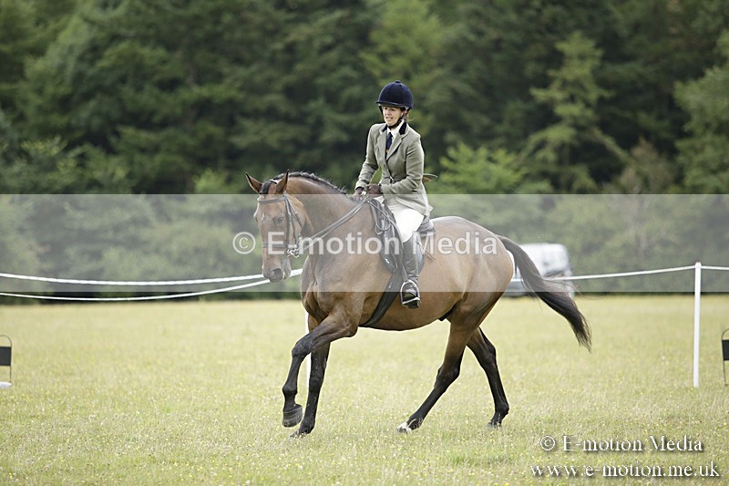 BVR160717-834 - Ring 1 BVRC Show 16/07/17