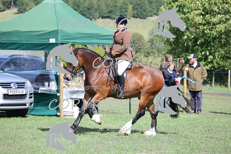 APP_3564 - Class 12 M&M ridden