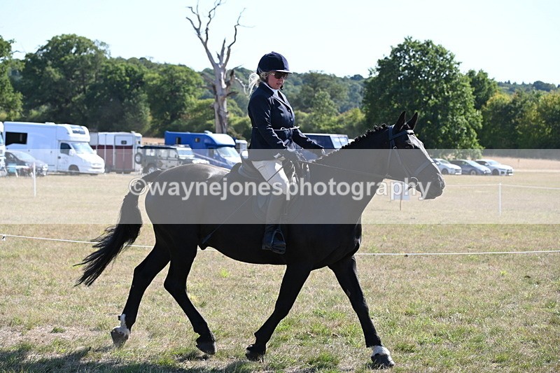 WJ6_7470 - Class 34 Judges Choice