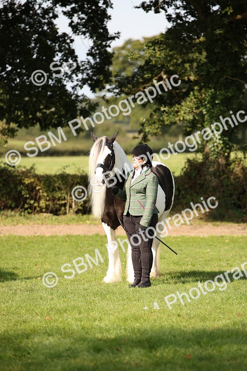 SBM_61204 - S54 - Show Cob In Hand