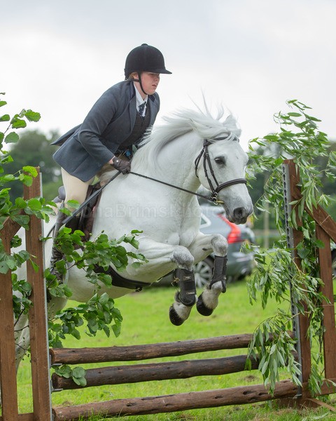 Dunblane show-251 - Dunblane and Doune Show Ring 1