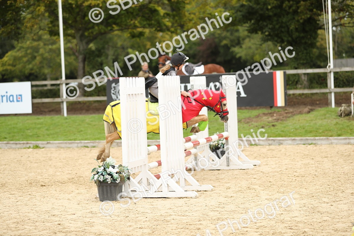 SBM_65736 - J48 - Pairs Jumping Open 70cm & 85cm