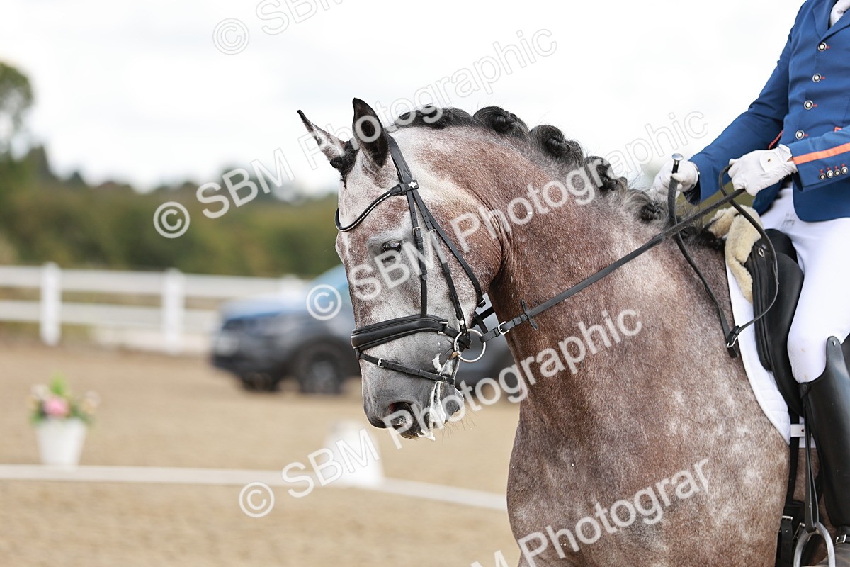 SBM_004261 - Class 4 - N5 - 10.52-11.27