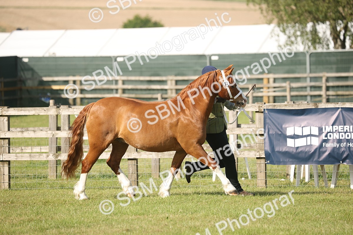 SBM_10486 - Class 33-38 - SSADL RIHS Qualifiers