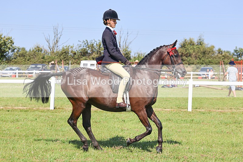IMG_1920 - Class 33: Show Pony 148cm and under
