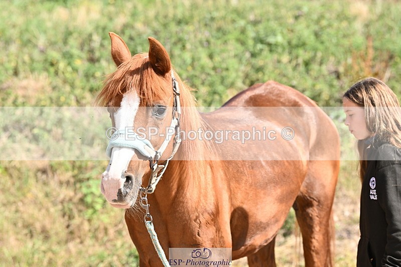 250821B-151943-00675 - Group C - Laraine