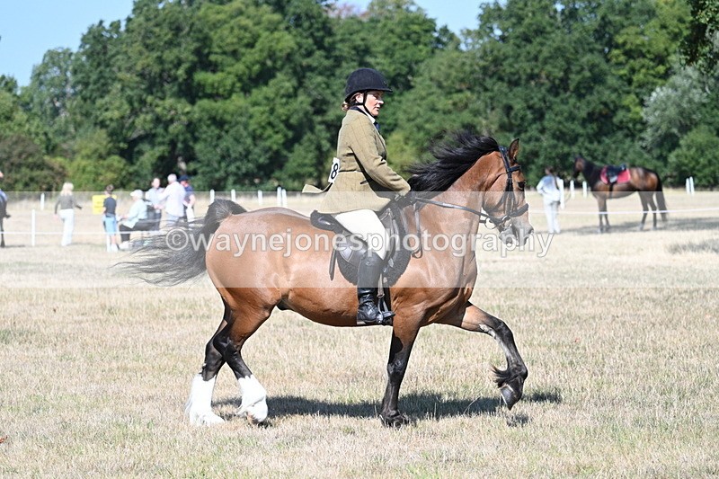 WJ7_3774 - Class 9 Mountain & Moorland Ridden