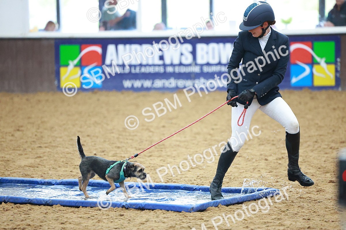 SBM_001662 - Class 3 - Horse & Hound (60cm)