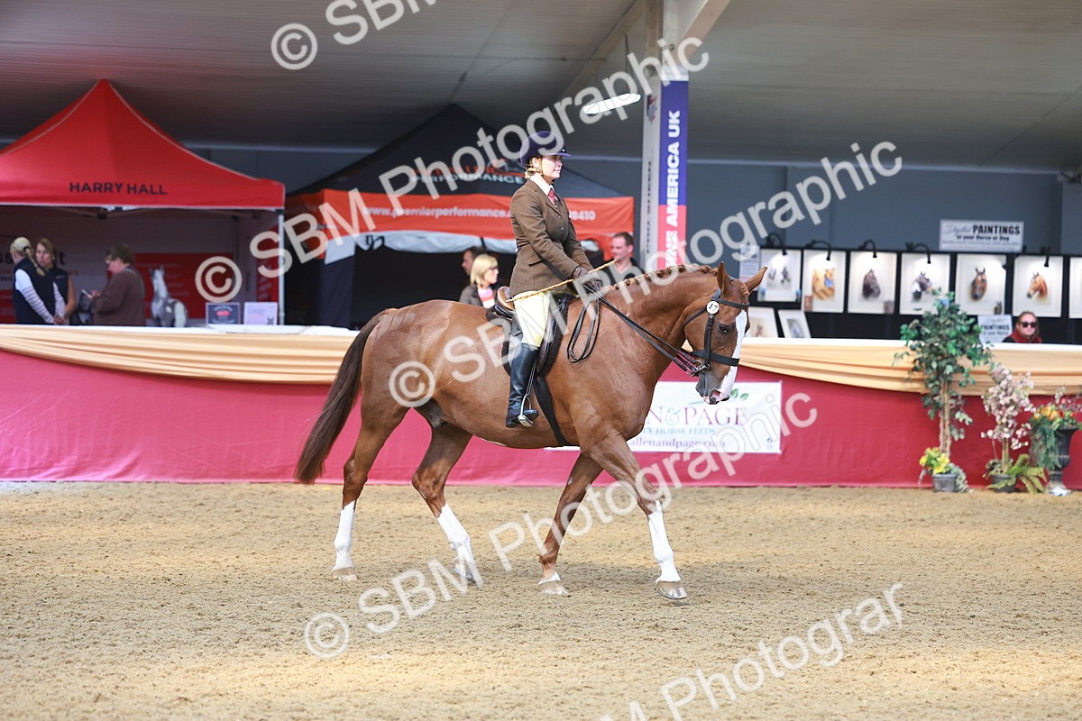 SBM_12575 - Class 103 - HOYS Veteran Qualifier - Ridden Pre Vet