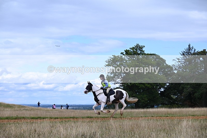 DSC_9071 - Time at Statue 14:33 to 15:10