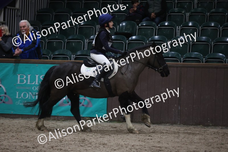 20260125-3416 - Class 3 - 60cm