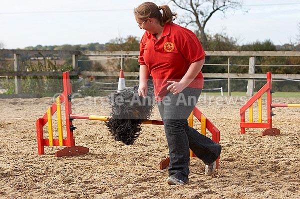  - Greenstead Green Farm Shop Animal Open Day