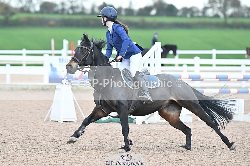 231119A-102427-04911 - Sun Cls 3 BlueChip Pony Discovery Qualifier