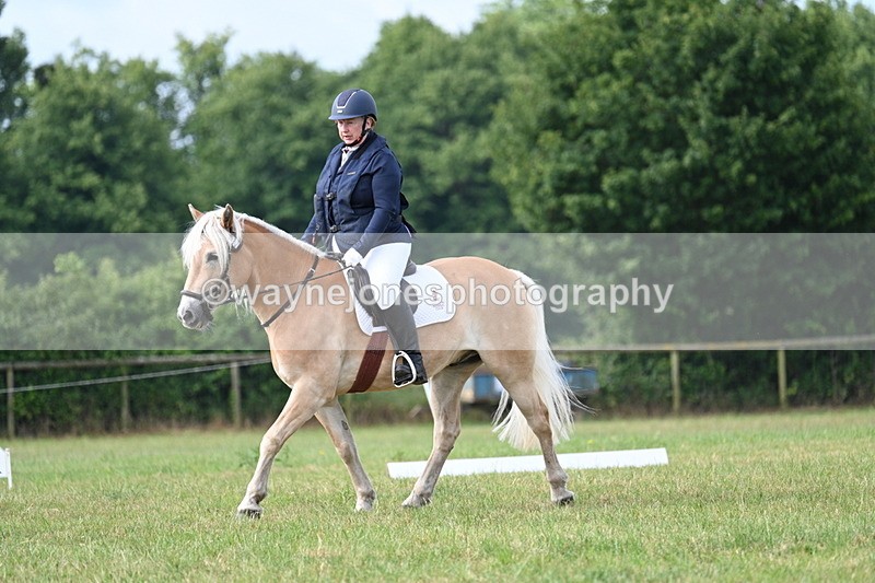 WJ7_1617 - Time 09:00 to 09:22