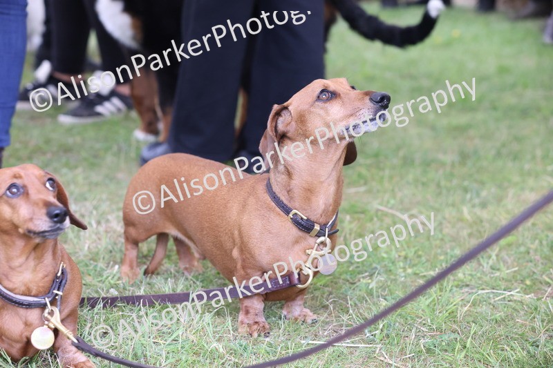 20250607-0460 - Best in Show