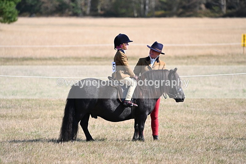 WJ6_7428 - Class 34 Judges Choice