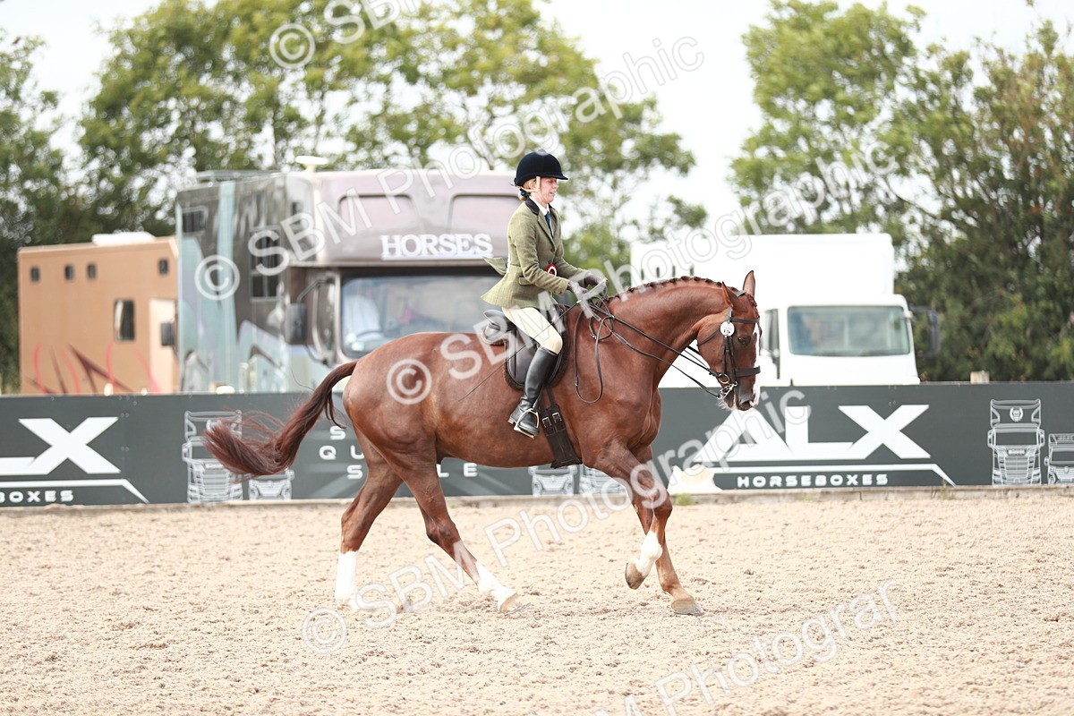 SBM_15553 - Class 213 Ridden Hunter -Large