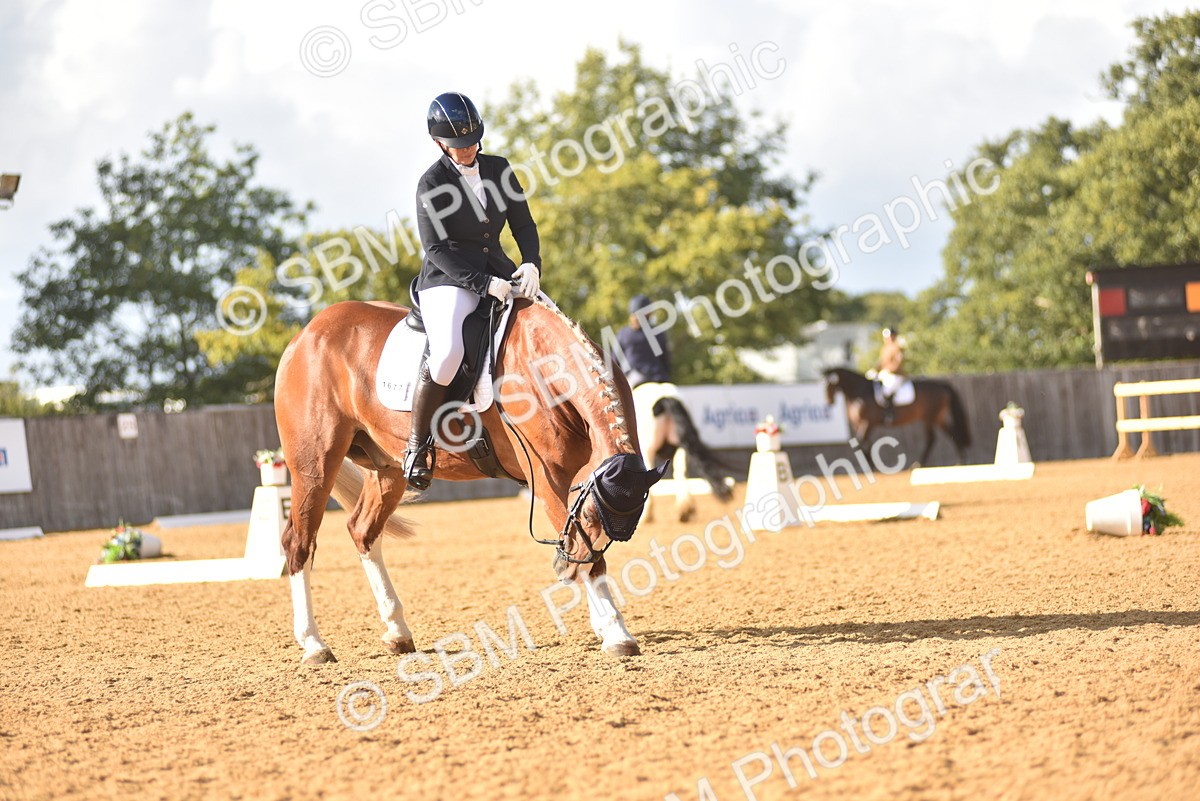 SBM_29588 - D16 -Small Tour Championship Novice 2