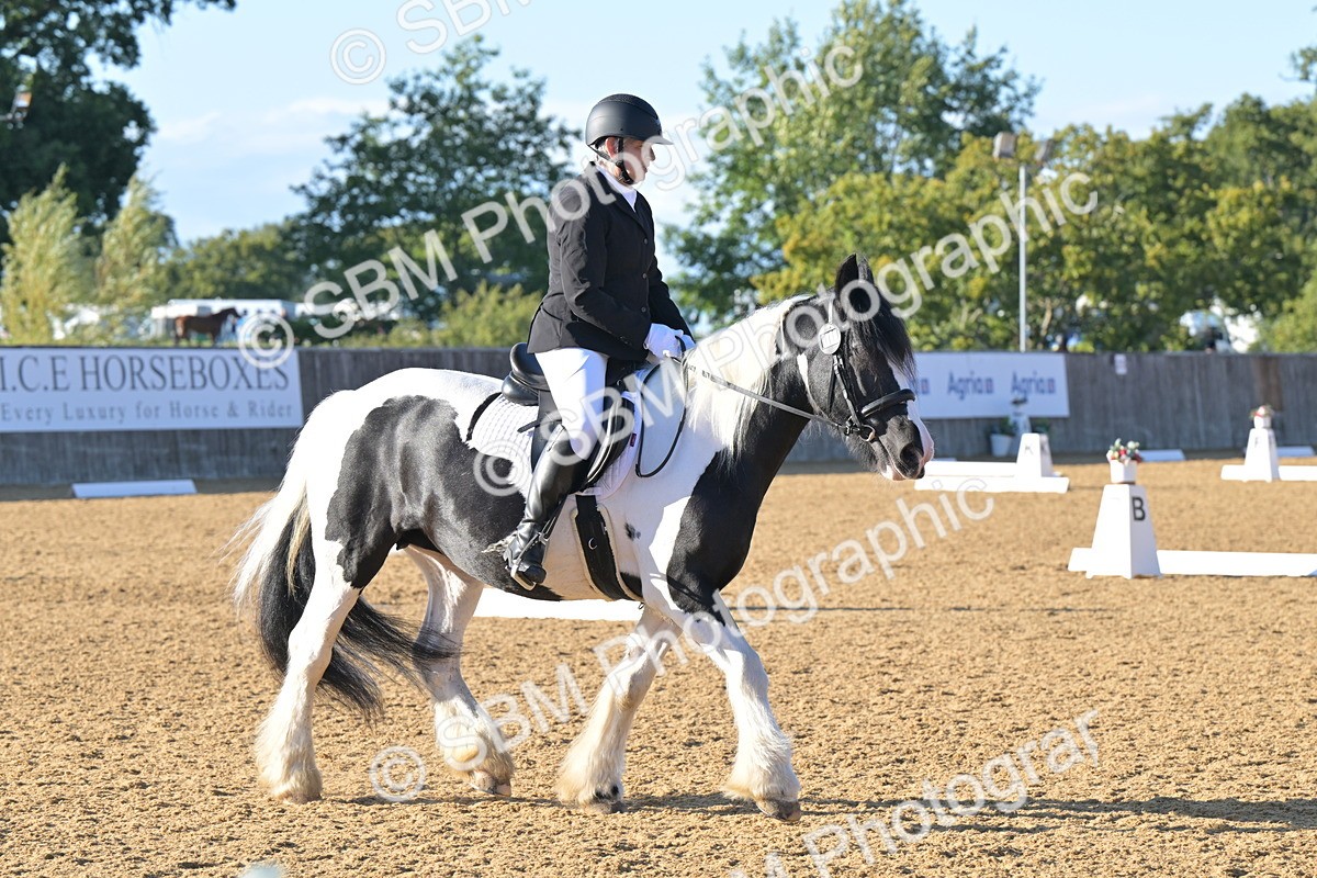 SBM_13026 - D3 - Small Tour Championship Intro 3