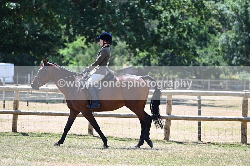 WJ7_2732 - Class 7 Riding Club Show Horse