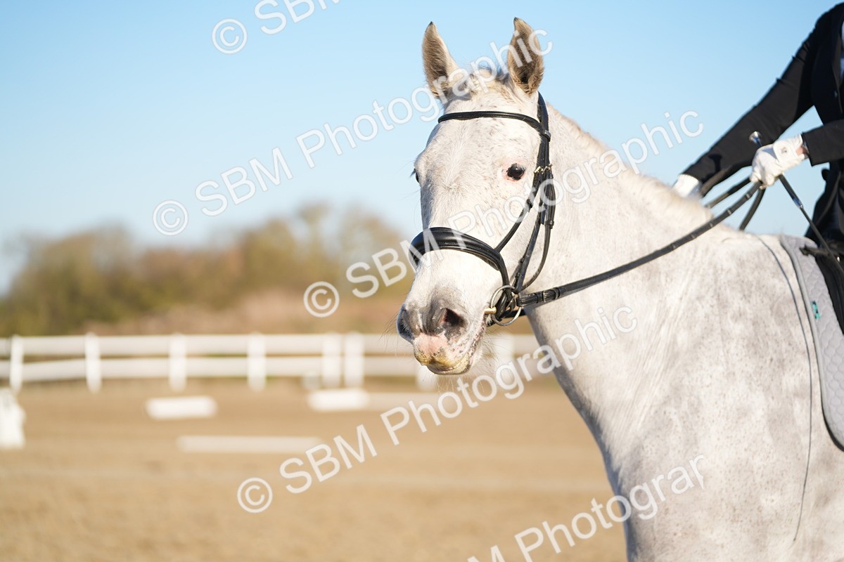 SBM_005768 - Class 6 - E1-80cm